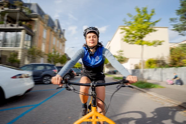 Intracity Courier Bild 3